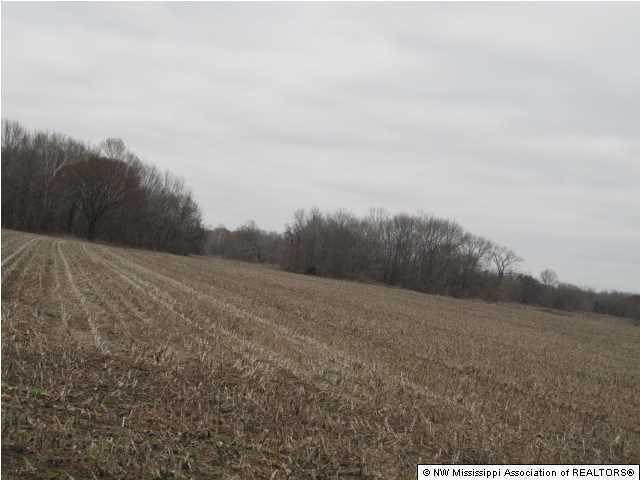 200 Ranch Road Hernando, MS 38632 - Photo 27 of 30 Additional Photo