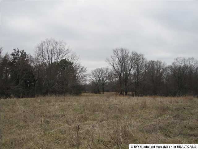 200 Ranch Road Hernando, MS 38632 - Photo 5 of 30 Additional Photo