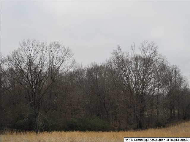 200 Ranch Road Hernando, MS 38632 - Photo 7 of 30 Additional Photo