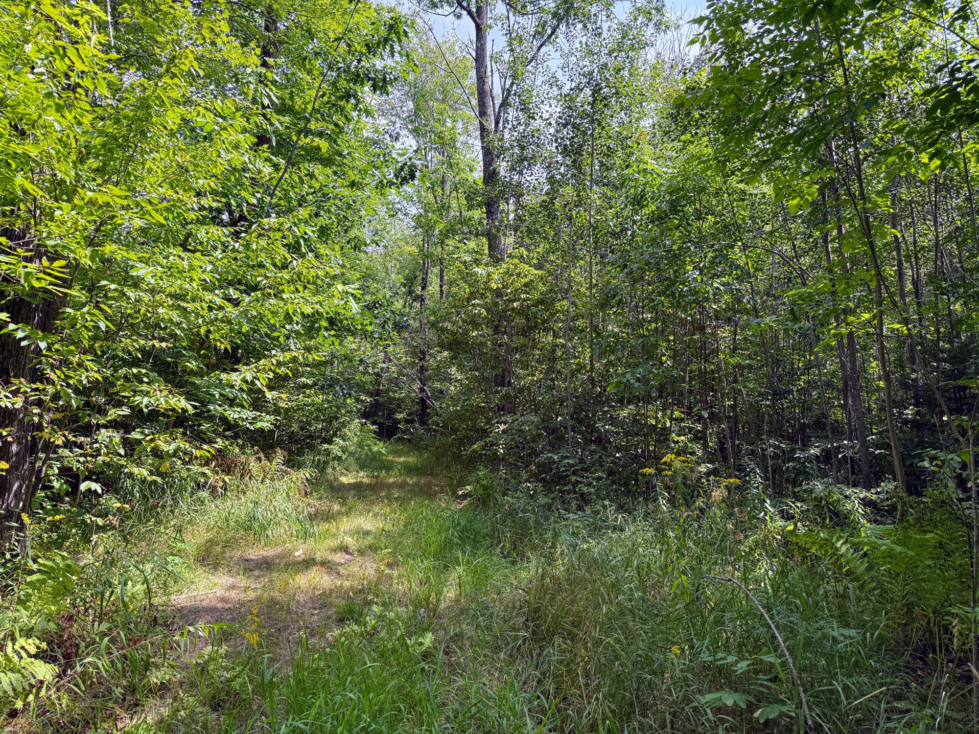 N5402 Aspen Road Brantwood, WI 54513 - Photo 27 of 27 Gallery Image 27