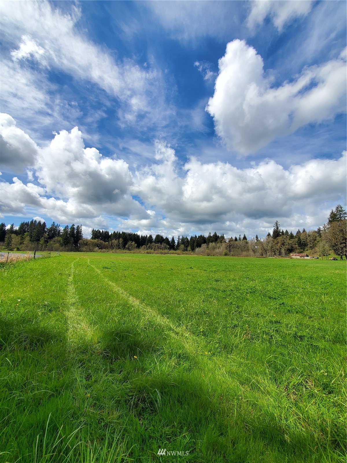 0 Antrim Road Winlock, WA 98596 - Photo 2 of 2 a view of an outdoor space and yard