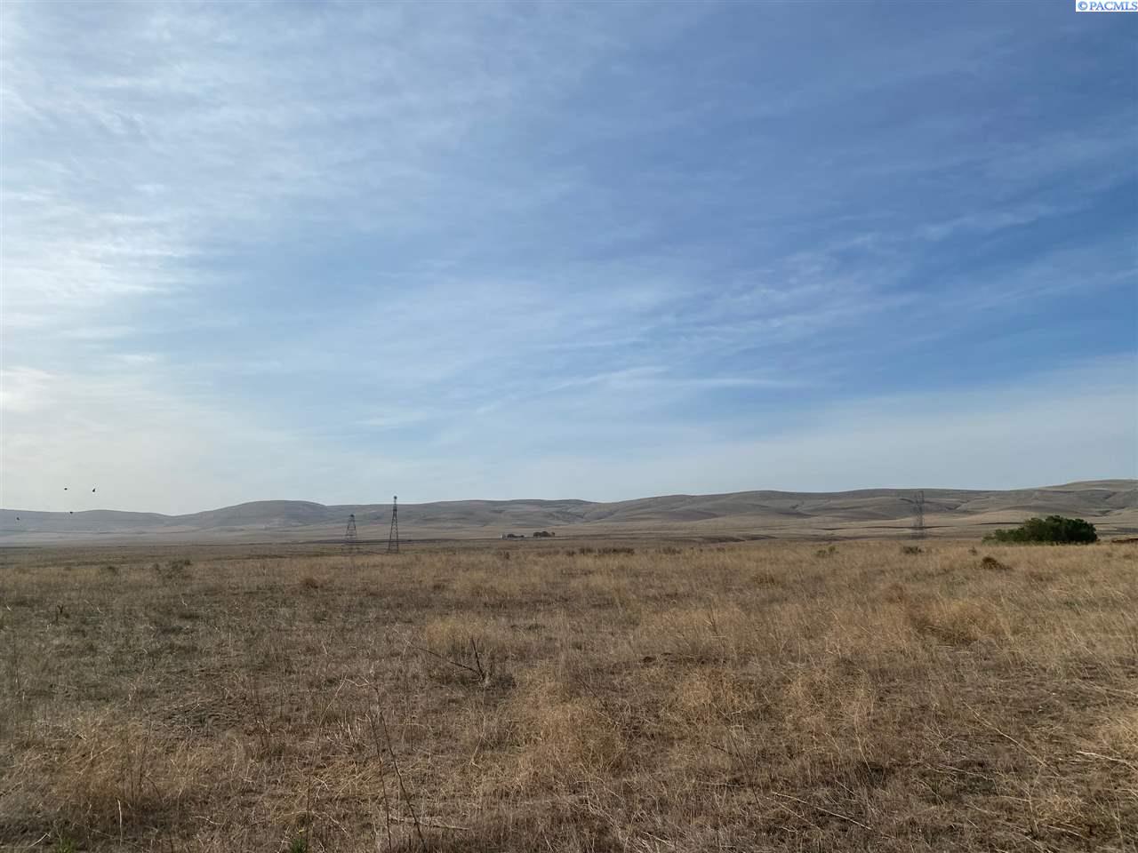 Tbd Mabton-Bickleton Road Bickleton, WA 99322 - Photo 6 of 10 Gallery Image 6