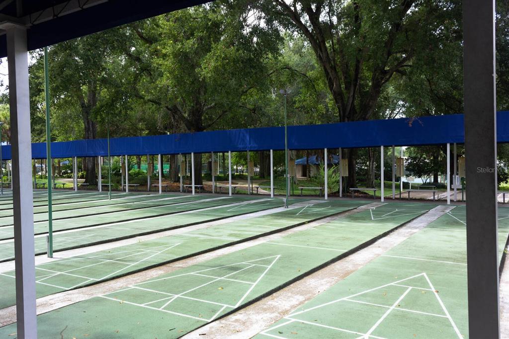 6635 Southwest 113th Place Ocala, FL 34476 - Photo 39 of 43 a view of backyard with green space and seating area