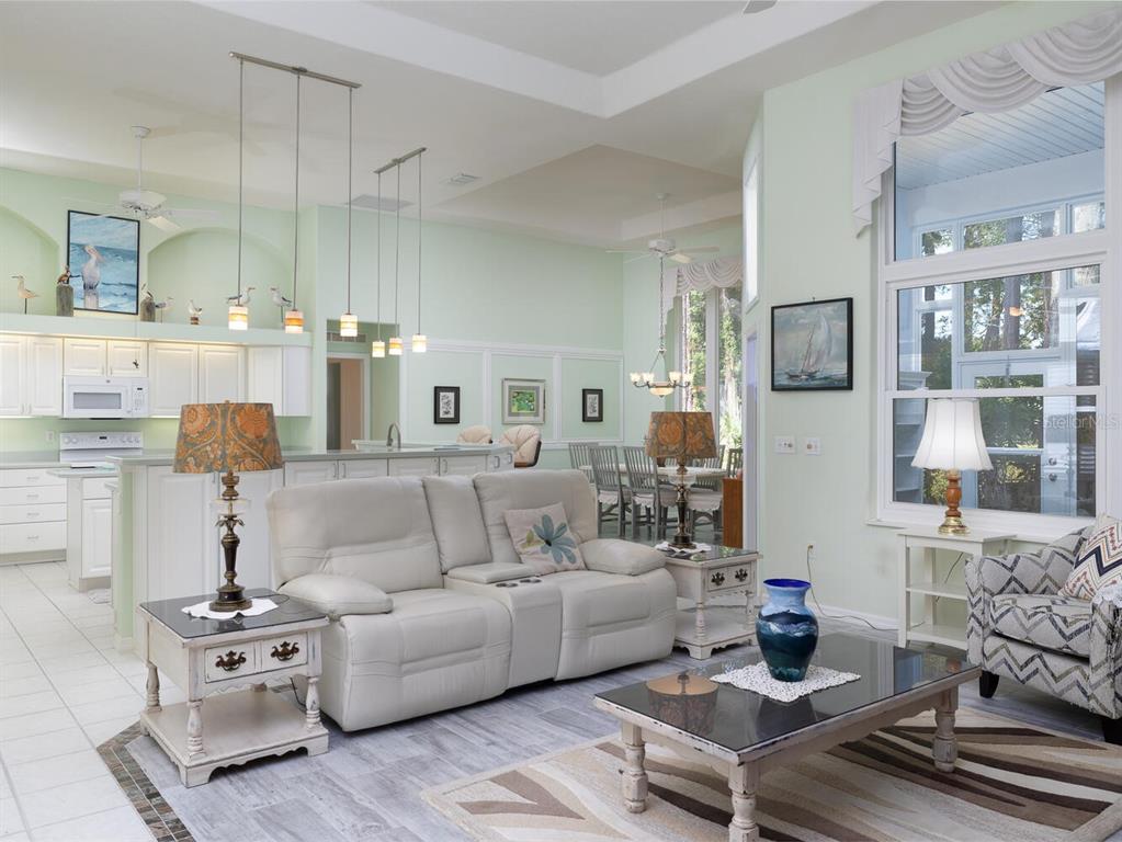 6635 Southwest 113th Place Ocala, FL 34476 - Photo 5 of 43 a living room with furniture and a fireplace