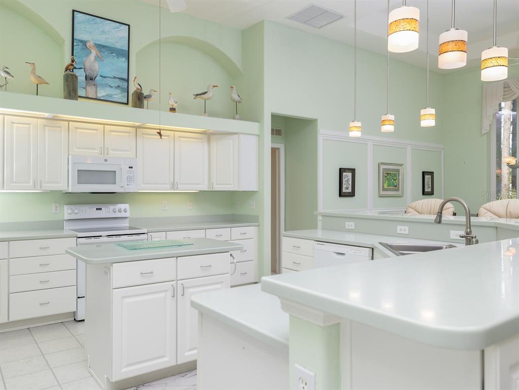 6635 Southwest 113th Place Ocala, FL 34476 - Photo 10 of 43 a kitchen with cabinets appliances and a sink