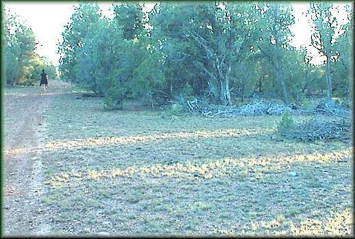 8 Sunset Ridge Trail, Unit 8 Datil, undefined 87821 - Photo 1 of 3 gently sloping land