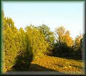 8 Sunset Ridge Trail, Unit 8 Datil, undefined 87821 - Photo 3 of 3 great for horses