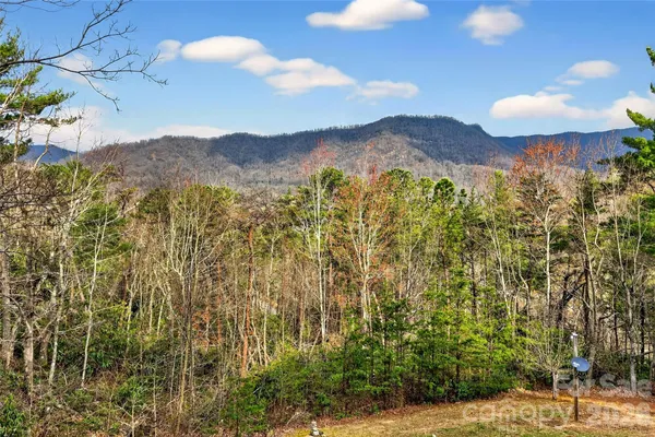 a view of a city with tall trees