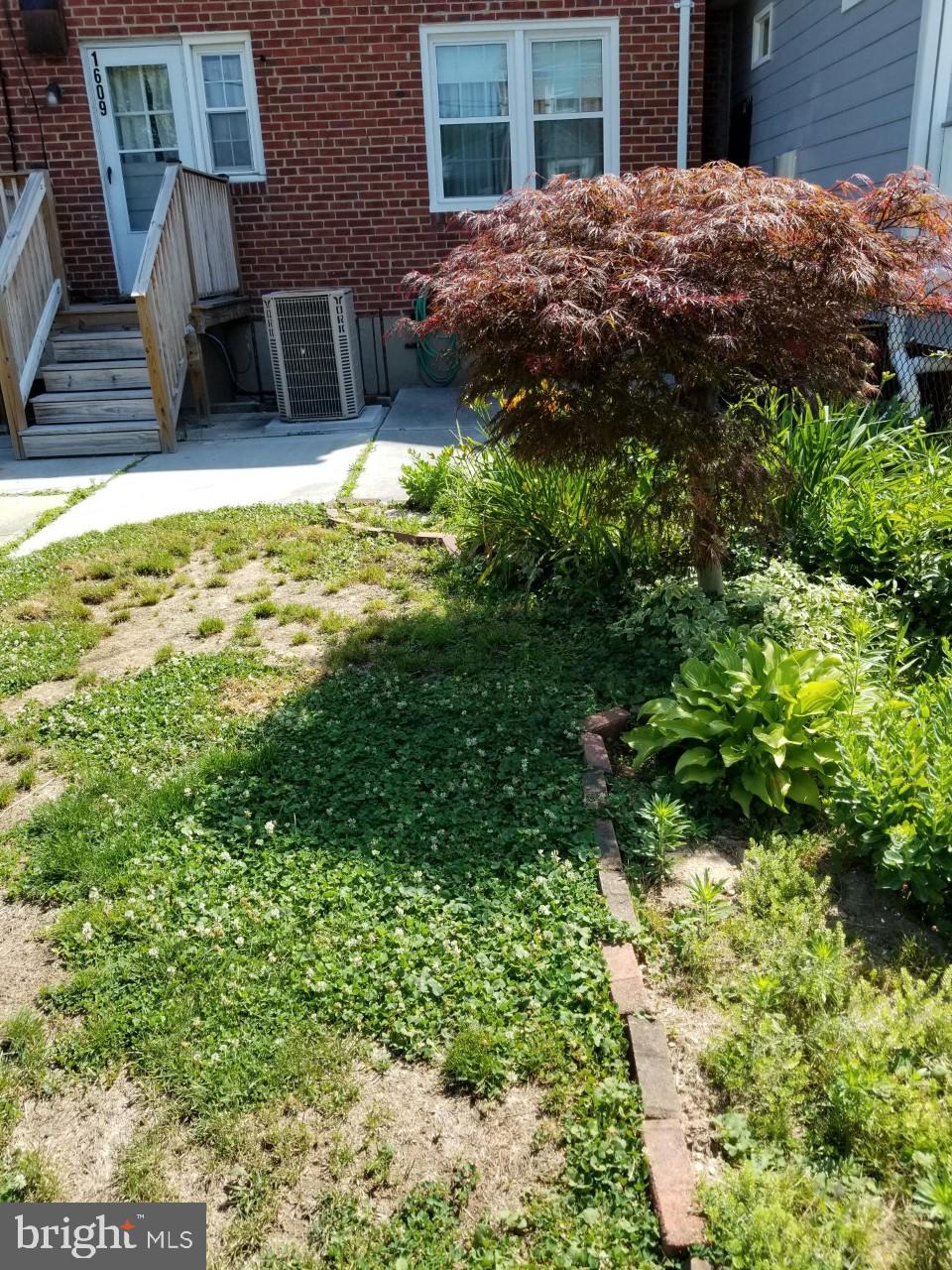 1609 Feldbrook Road Baltimore, MD 21286 - Photo 31 of 34 Mini Japanese Maple