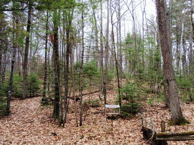 1630 Cranberry Lake Road Eagle River, WI 54521 - Photo 12 of 18 Gallery Image 12