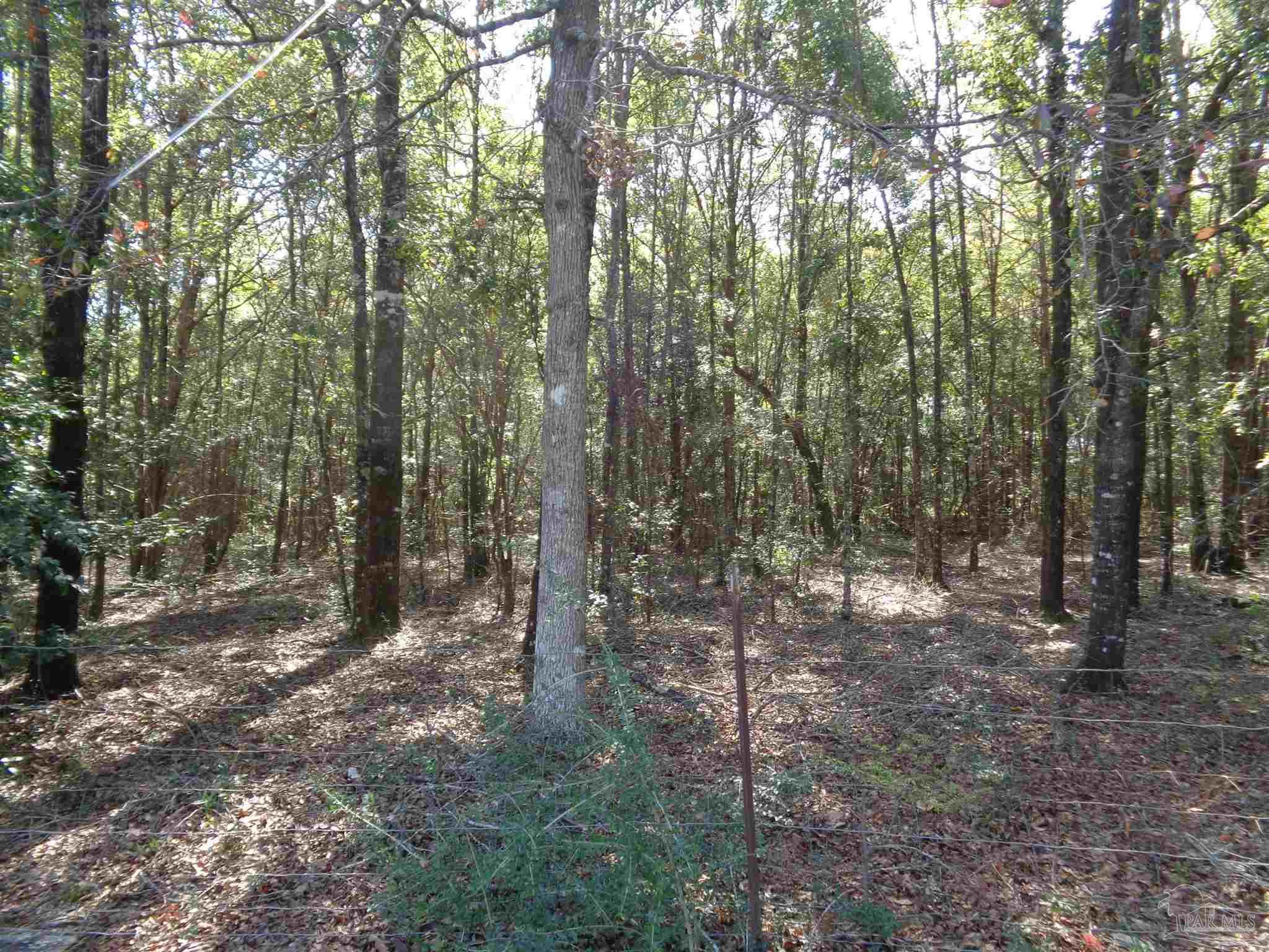 3429 Stanley Road Brewton, AL 36426 - Photo 4 of 50