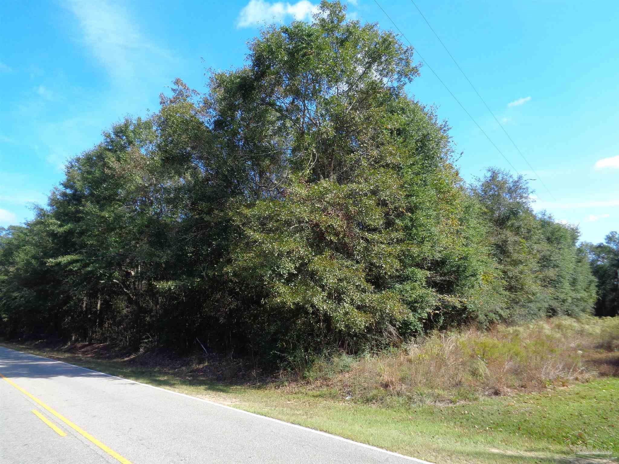3429 Stanley Road Brewton, AL 36426 - Photo 45 of 50