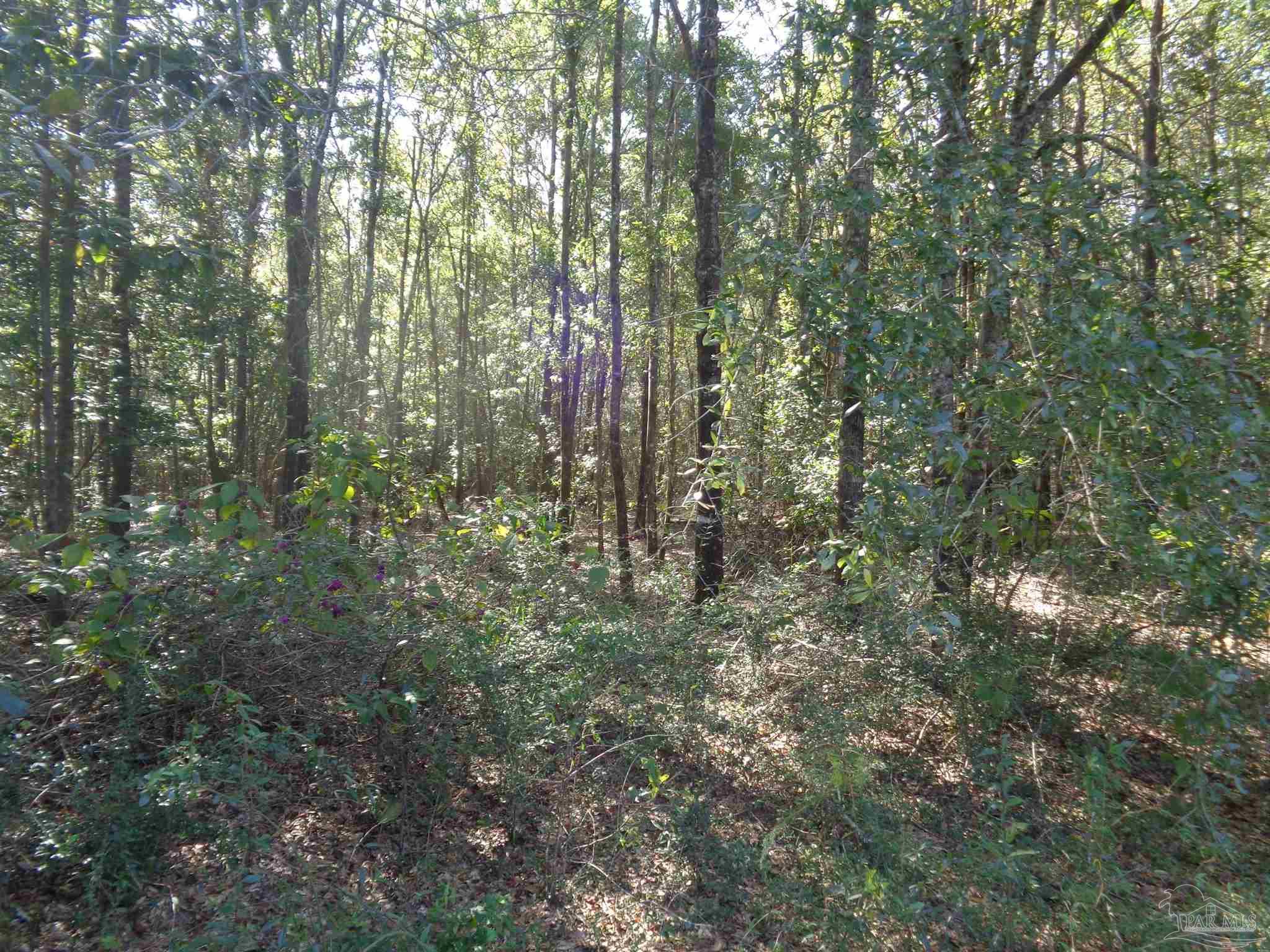 3429 Stanley Road Brewton, AL 36426 - Photo 47 of 50