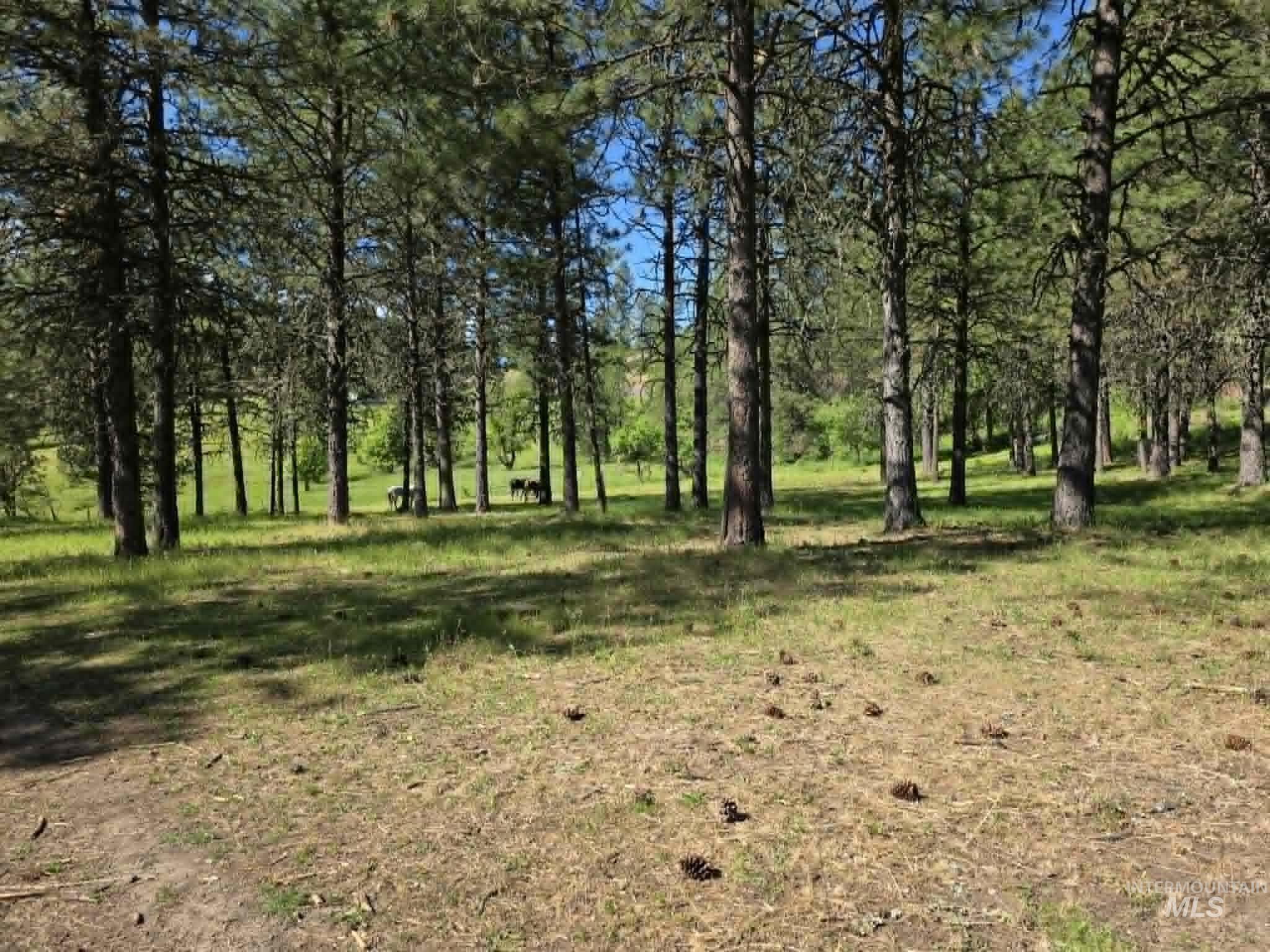 3871 Lakeview Road Orofino, ID 83544 - Photo 18 of 49