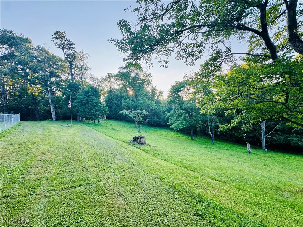 1641 Valley Mills Road Waverly, WV 26184 - Photo 41 of 43 BACK YARD