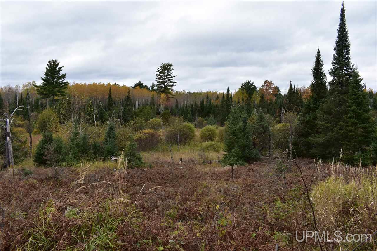 40-acres 40-acres Off Co Road Gwinn, MI 49841 - Photo 13 of 22