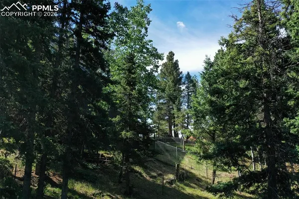 a view of a tree