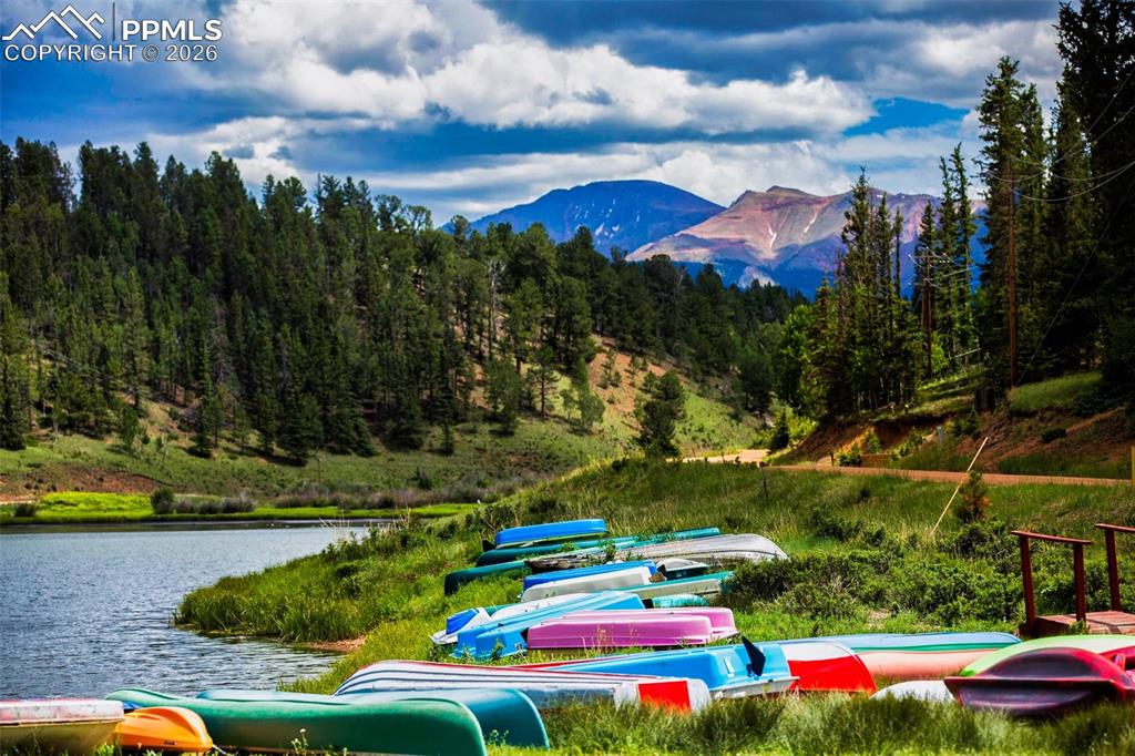 377 Ridge Road Divide, CO 80814 - Photo 49 of 50 a view of yard
