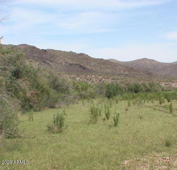 25213 Signal Road Yucca, AZ 86438 - Photo 6 of 10 25213 S Signal RD