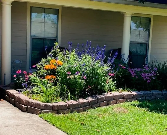 a front view of a house having a yard