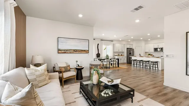 a living room with furniture and a potted plant