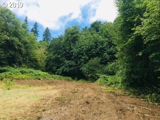 302 Carleton Road Washougal, WA 98671 - Photo 6 of 13 Gallery Image 6