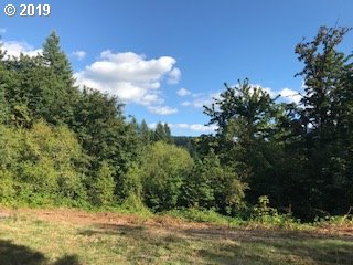 302 Carleton Road Washougal, WA 98671 - Photo 9 of 13 Gallery Image 9