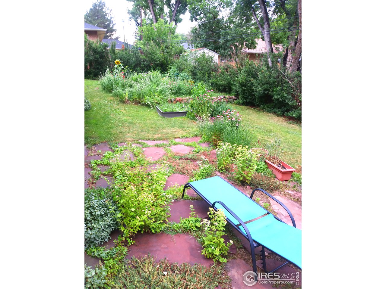 4 Sunset Circle Longmont, CO 80501 - Photo 12 of 12 Established perennials and lush landscape