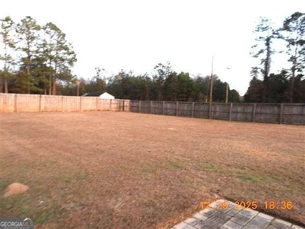 a view of backyard and tree