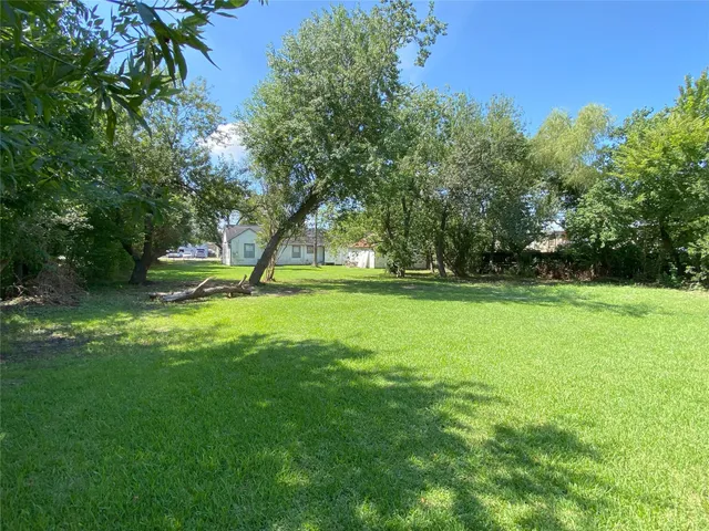 a view of a park with large trees