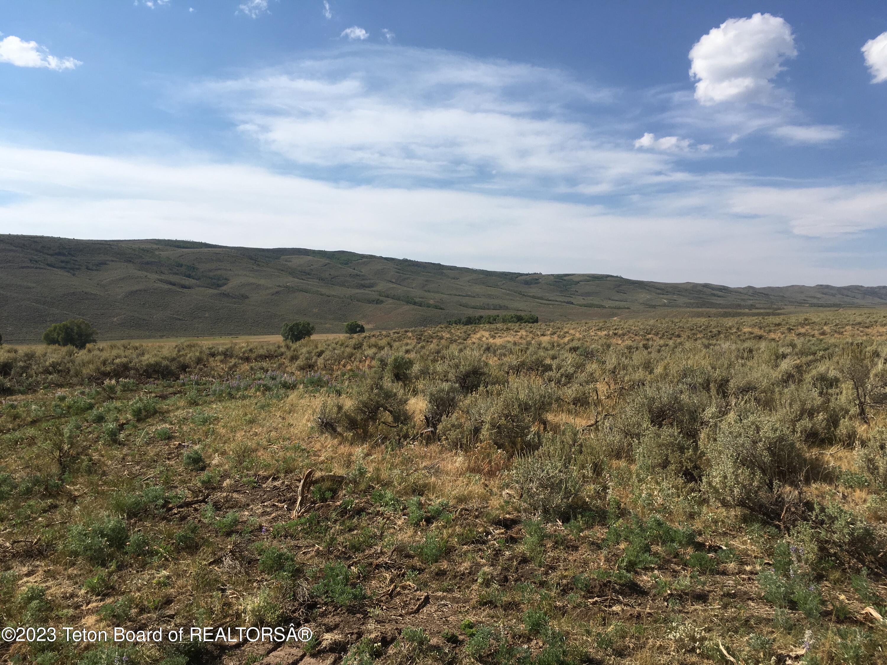 1000 Smiths Fork Road Cokeville, WY 83114 - Photo 22 of 67 IMG_1828