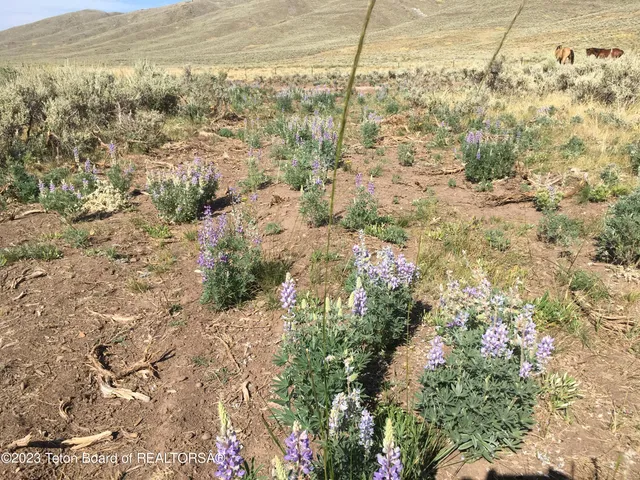 $699,800 | 1000 Smiths Fork Road, Cokeville, WY 83114