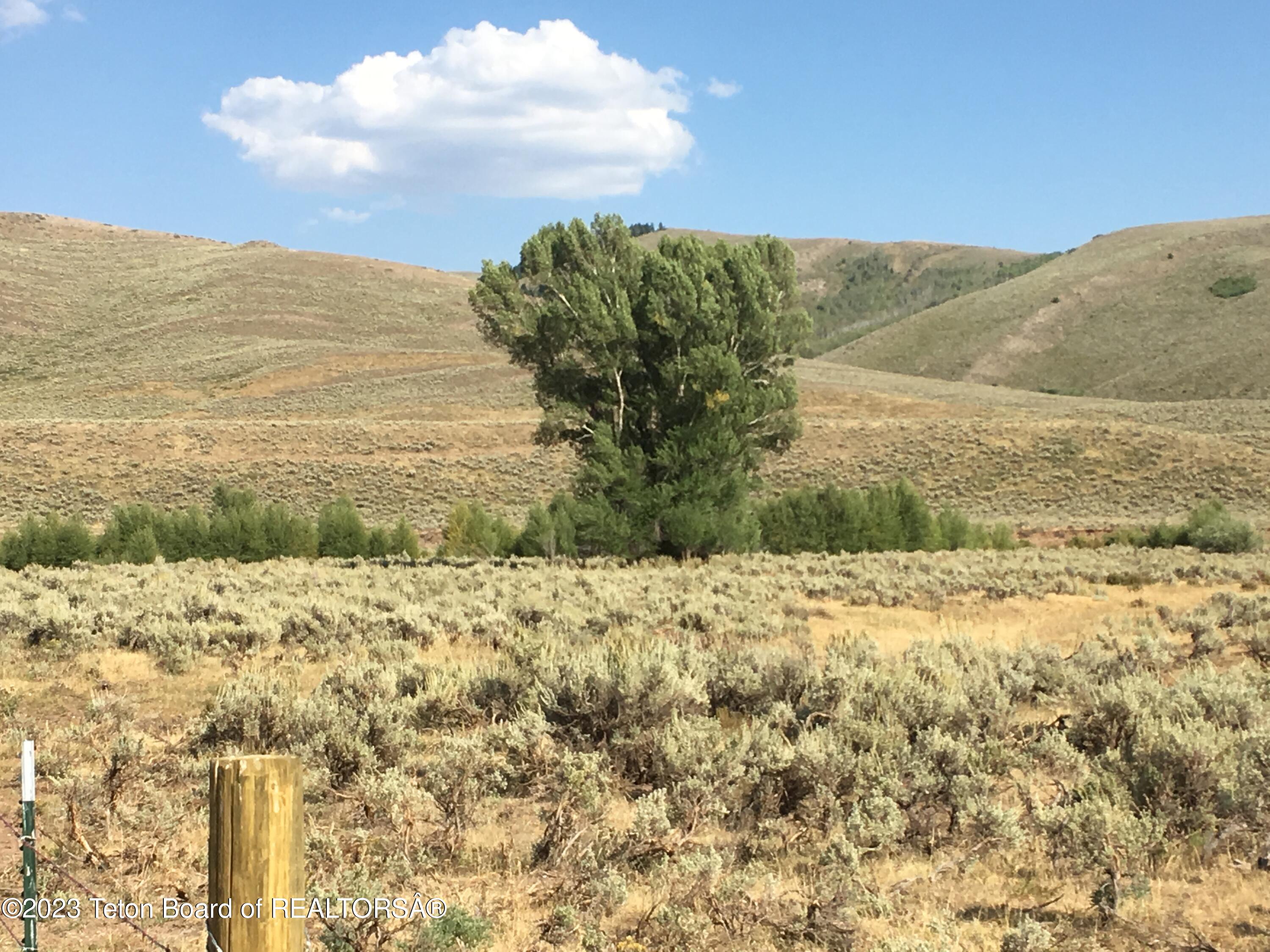 1000 Smiths Fork Road Cokeville, WY 83114 - Photo 40 of 67 IMG_1864