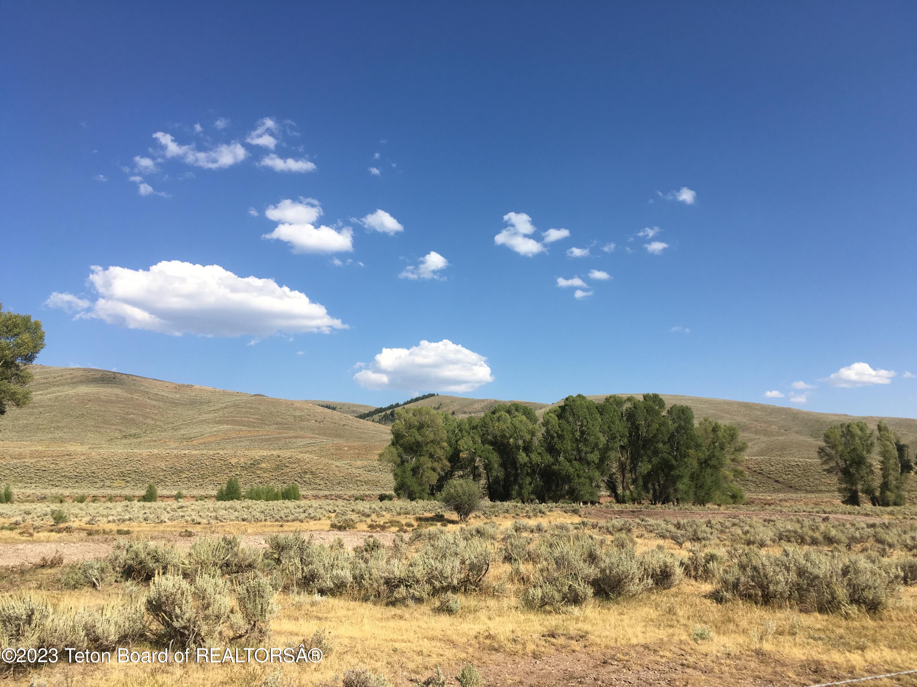 1000 Smiths Fork Road Cokeville, WY 83114 - Photo 42 of 67 IMG_1872