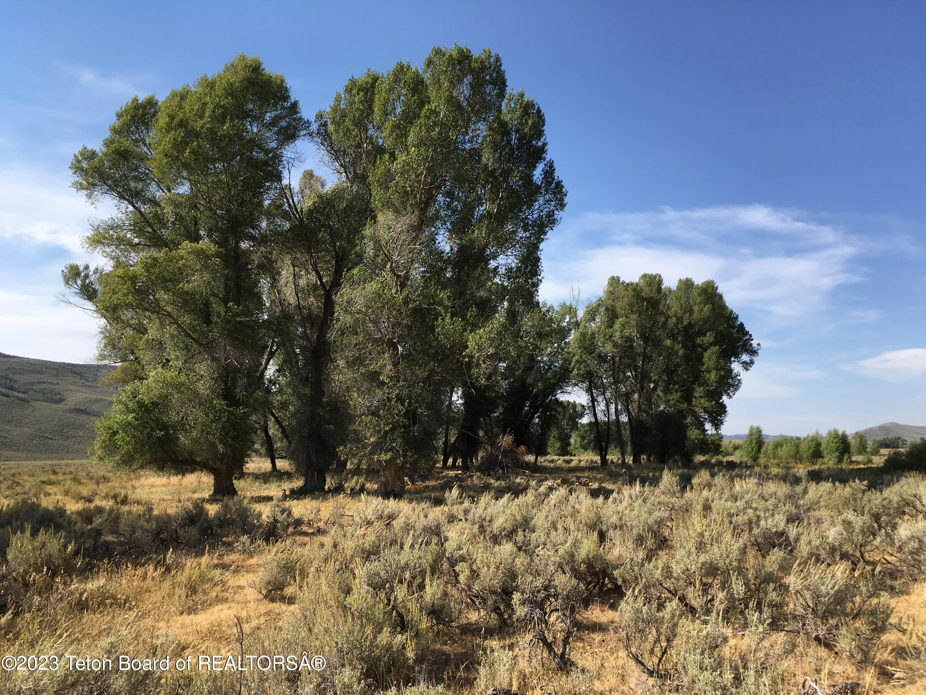 1000 Smiths Fork Road Cokeville, WY 83114 - Photo 47 of 67 IMG_1879
