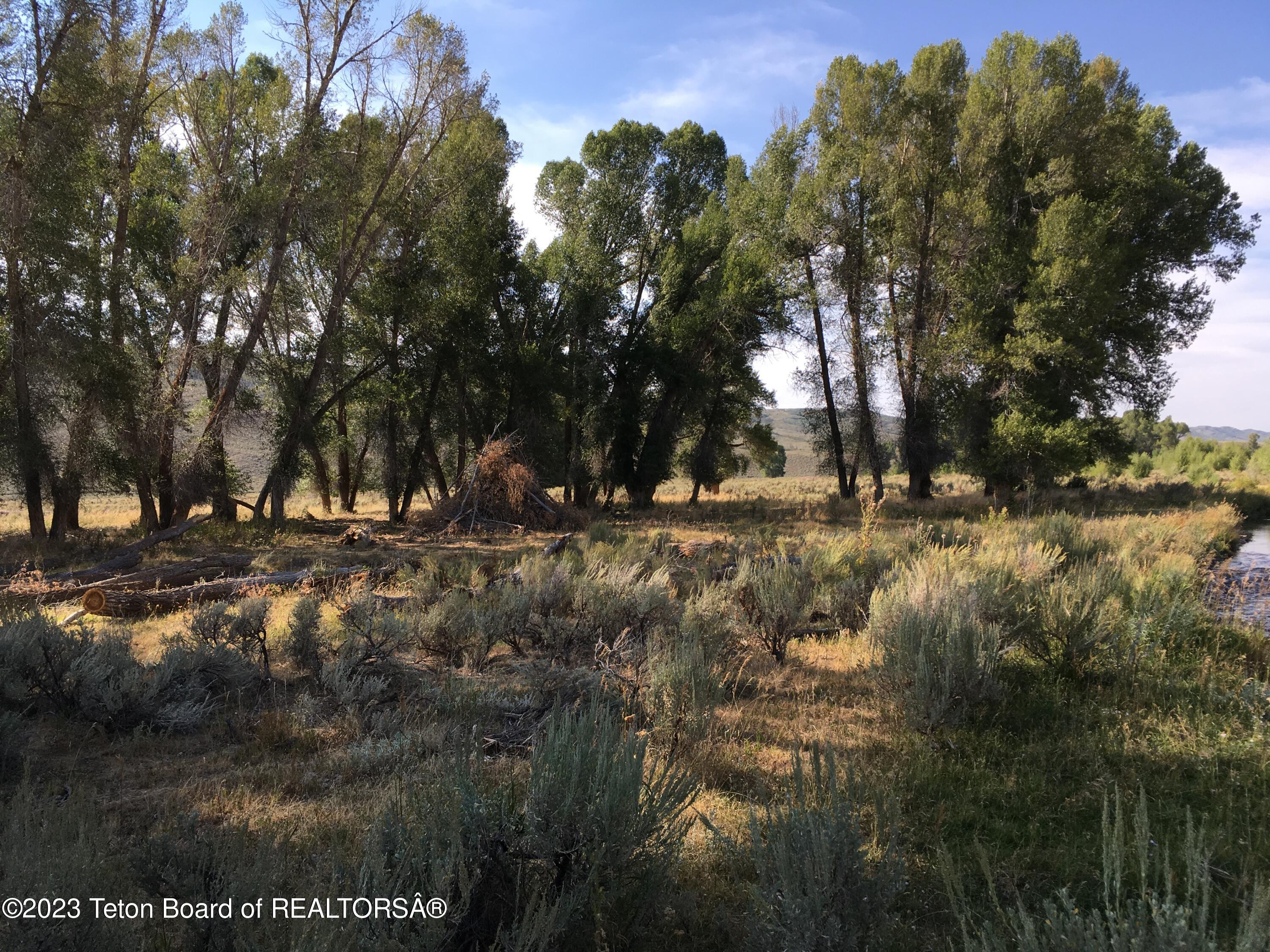1000 Smiths Fork Road Cokeville, WY 83114 - Photo 49 of 67 IMG_1882