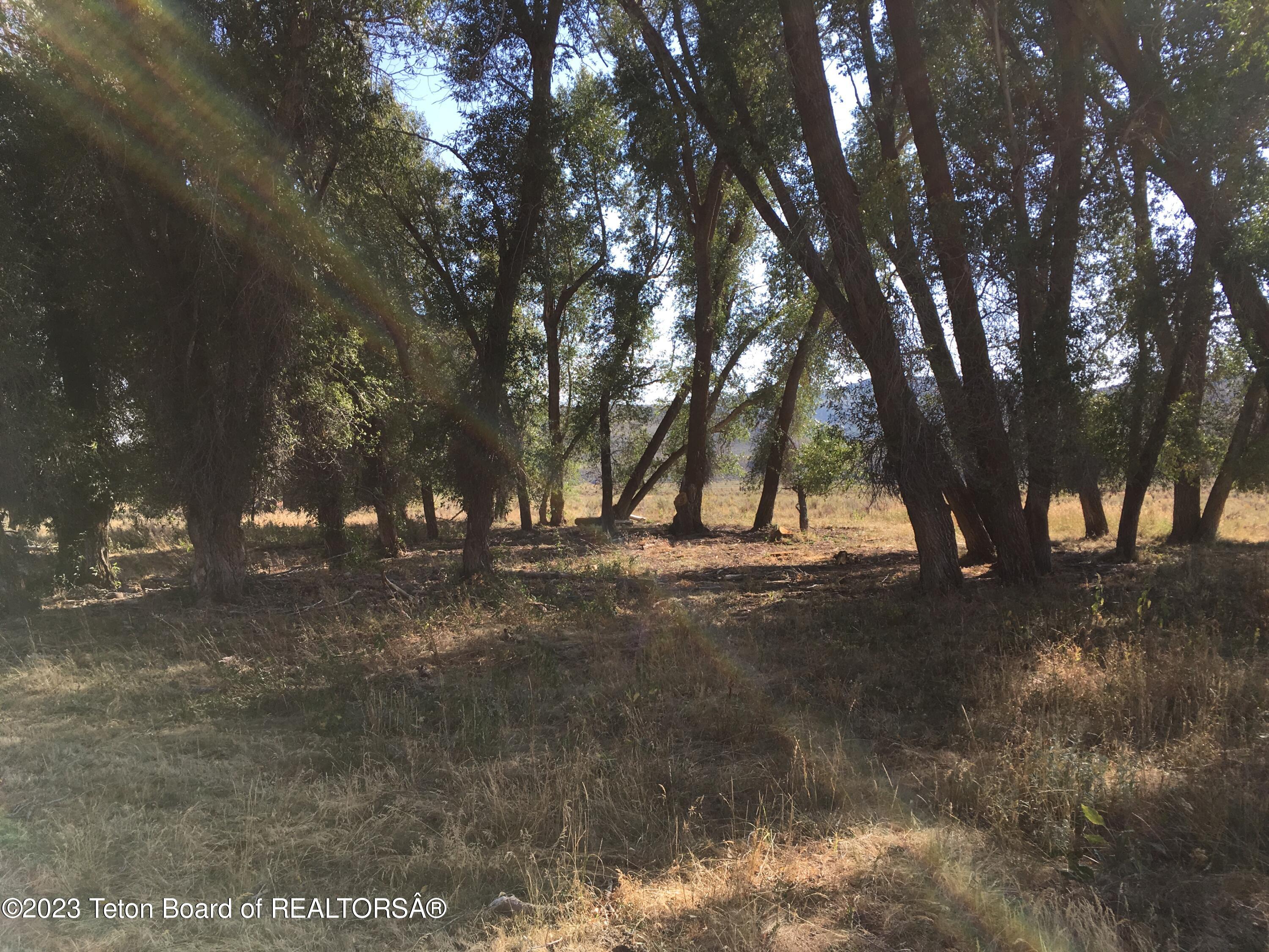 1000 Smiths Fork Road Cokeville, WY 83114 - Photo 54 of 67 IMG_1896