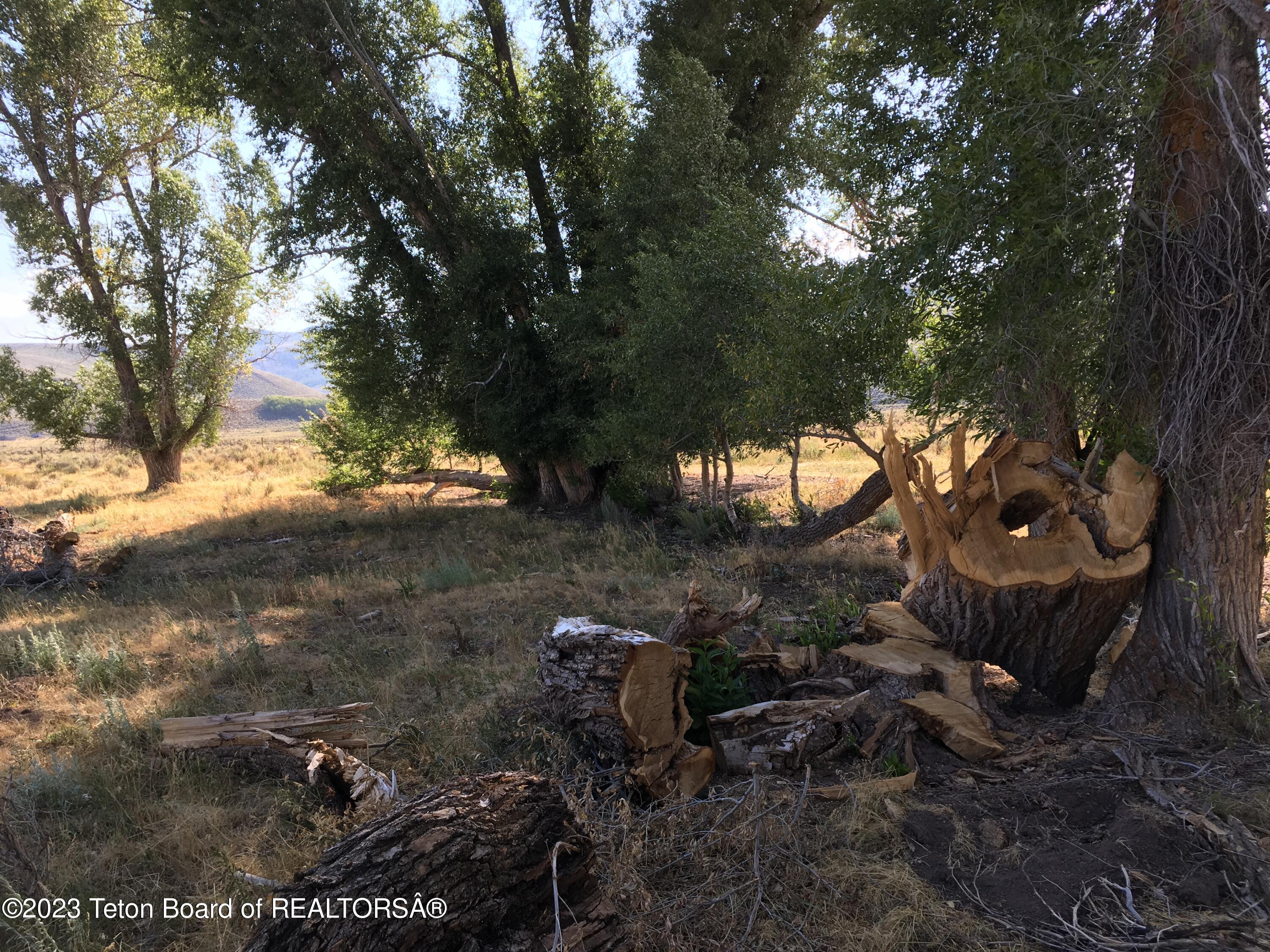 1000 Smiths Fork Road Cokeville, WY 83114 - Photo 60 of 67 IMG_1905