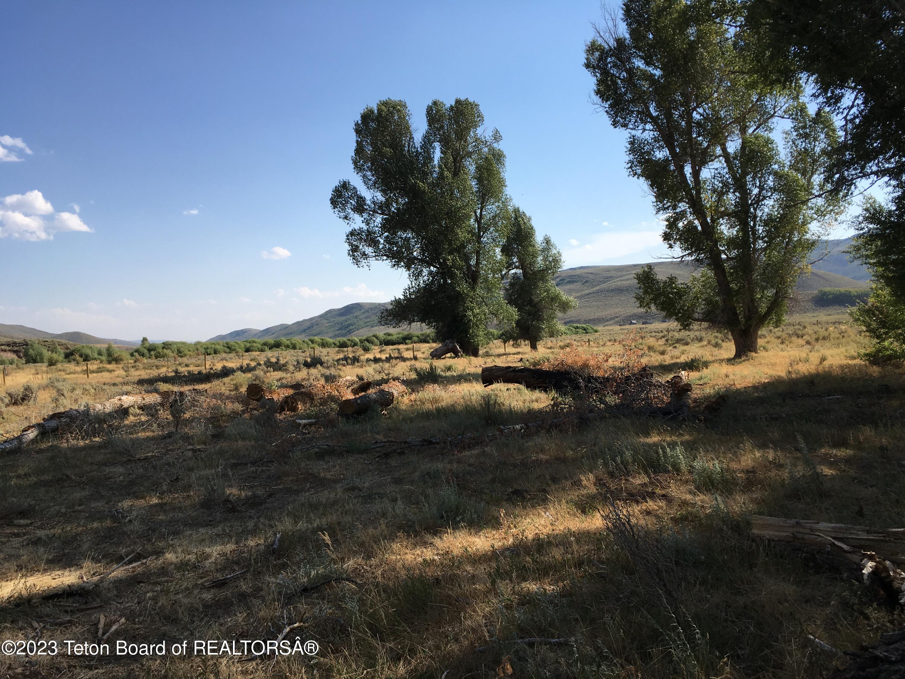 1000 Smiths Fork Road Cokeville, WY 83114 - Photo 61 of 67 IMG_1906