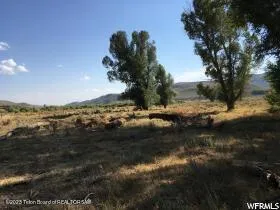 $699,800 | 1000 Smiths Fork Road, Cokeville, WY 83114