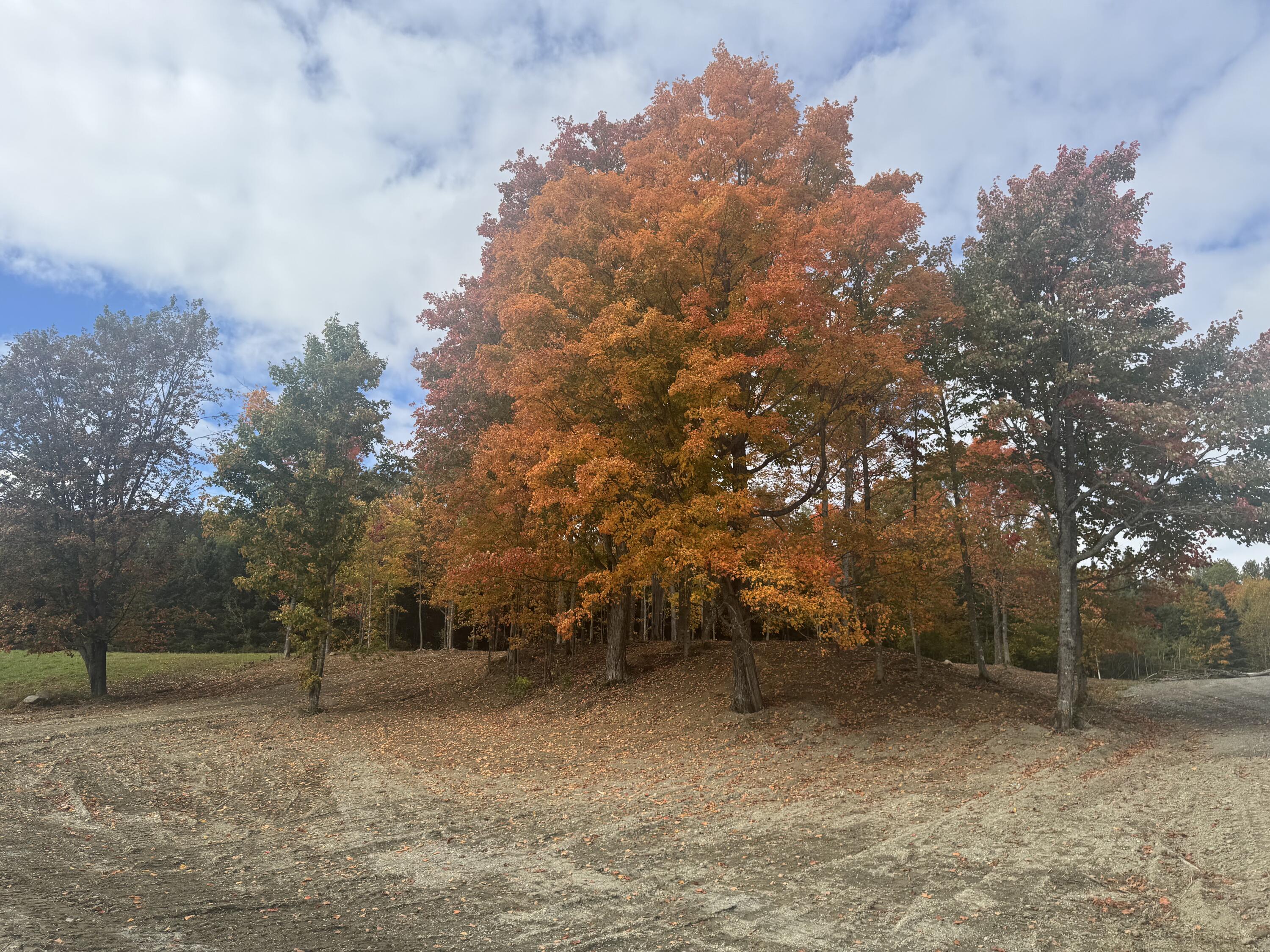 Map2-blot93 Fox Road Fort Kent, ME 04743 - Photo 5 of 5
