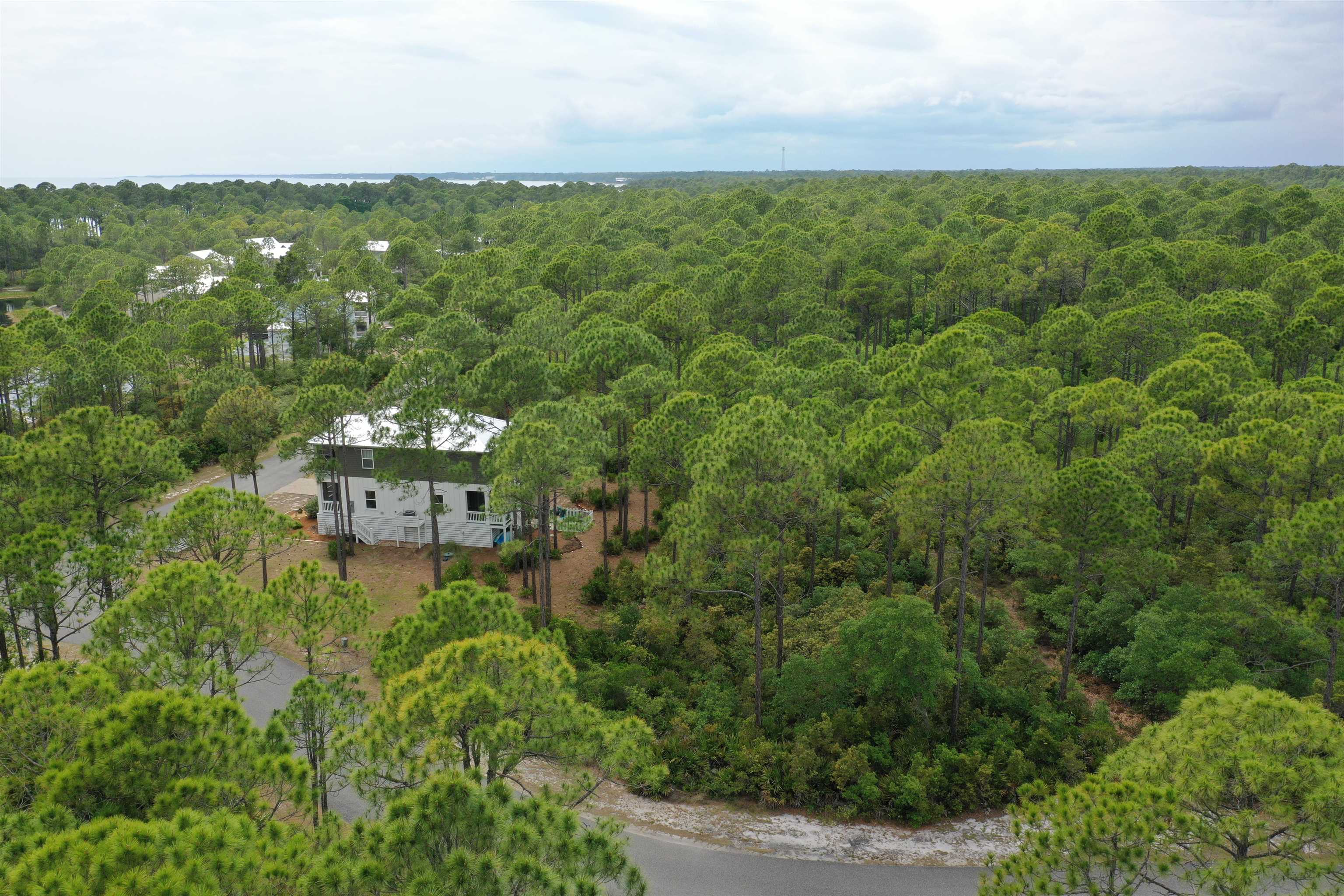 133 Fishhook Way Sopchoppy, FL 32358 - Photo 27 of 28