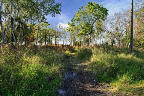 $839,000 | 0 Northeast 60th & 64th Avenue, Okeechobee, FL 34974