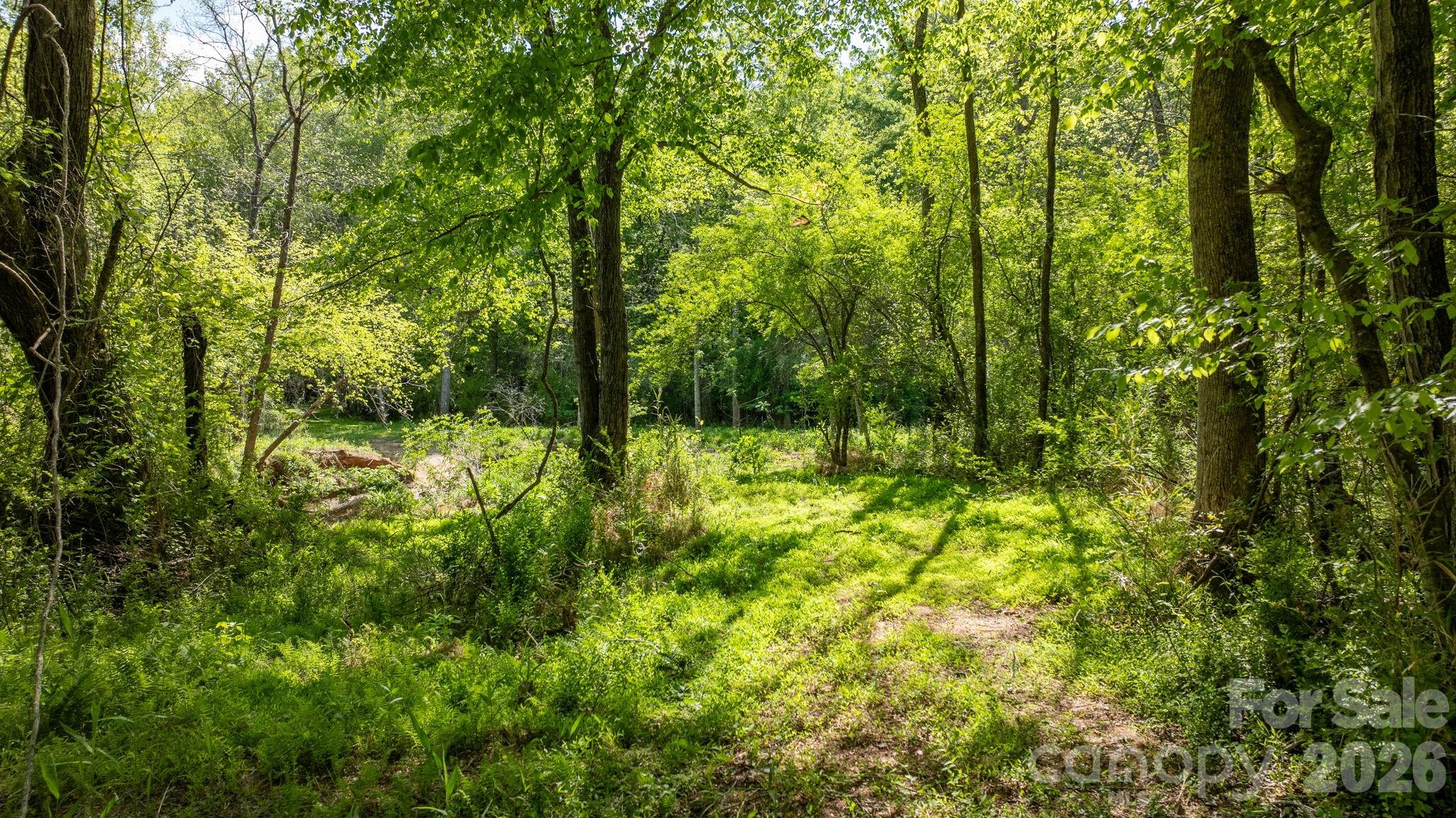 0 Stikeleather Road Hiddenite, NC 28636 - Photo 20 of 28 a view of outdoor space and trees