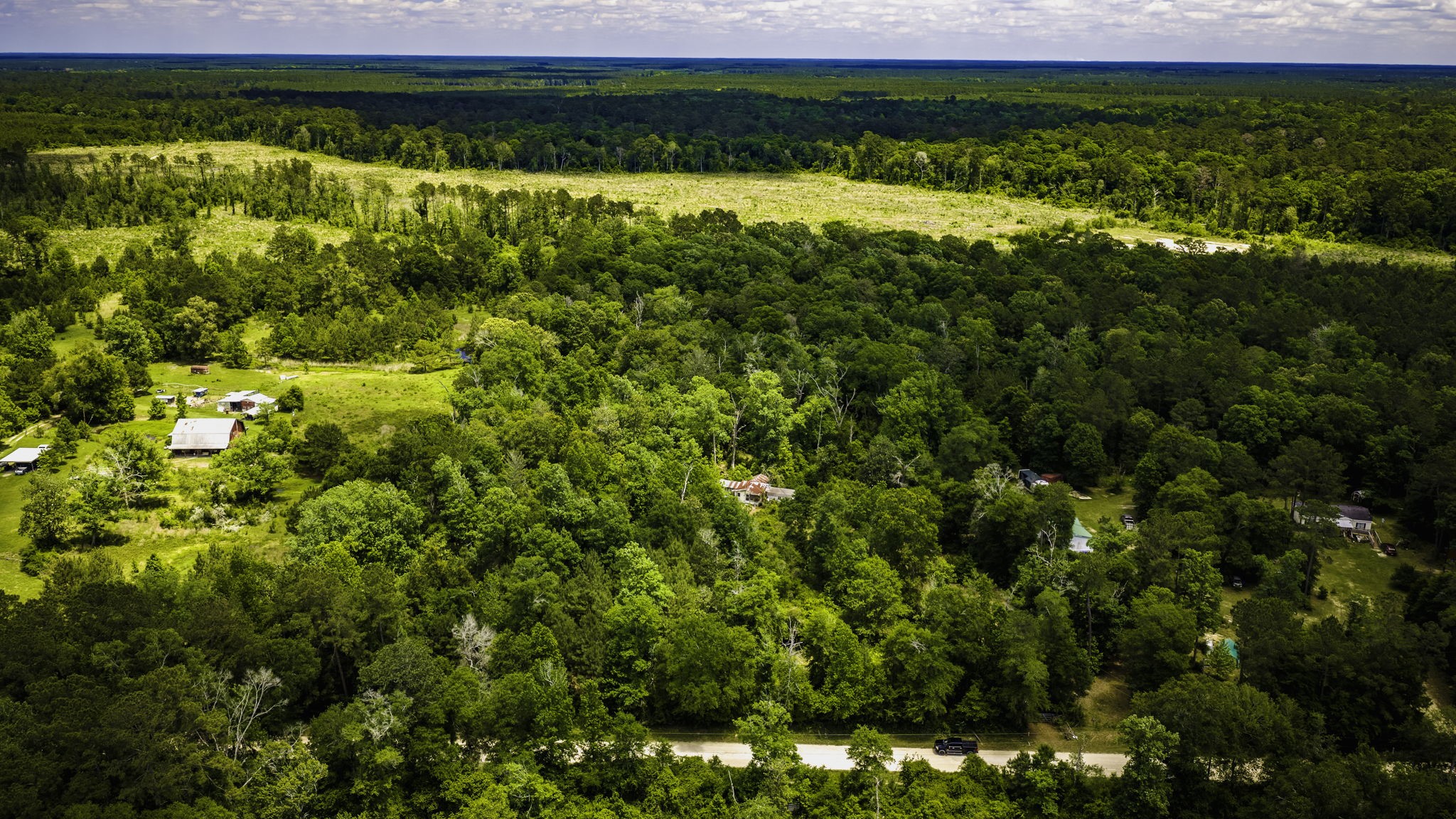 5800 Outlaw Bend Road Livingston, TX 77351 - Photo 2 of 29 a view of a yard with plants and large trees