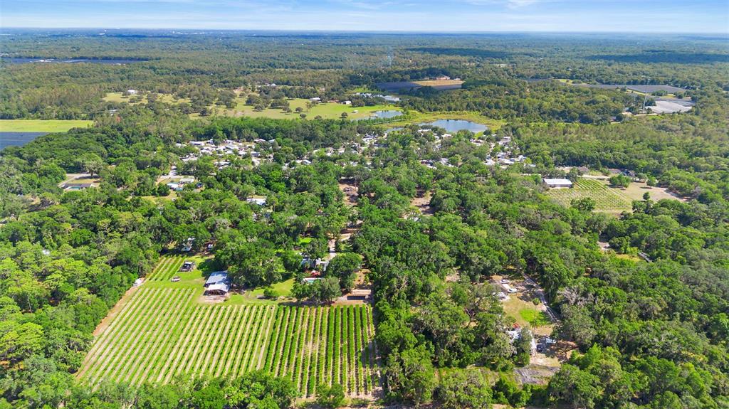 1056 Reynolds Road De Leon Springs, FL 32130 - Photo 55 of 76 Gallery Image 55