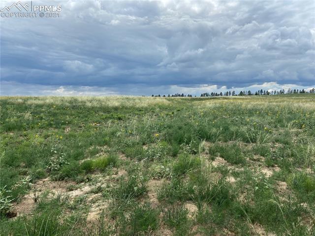 6451 South Johnson Road Rush, CO 80833 - Photo 12 of 46 Gallery Image 12