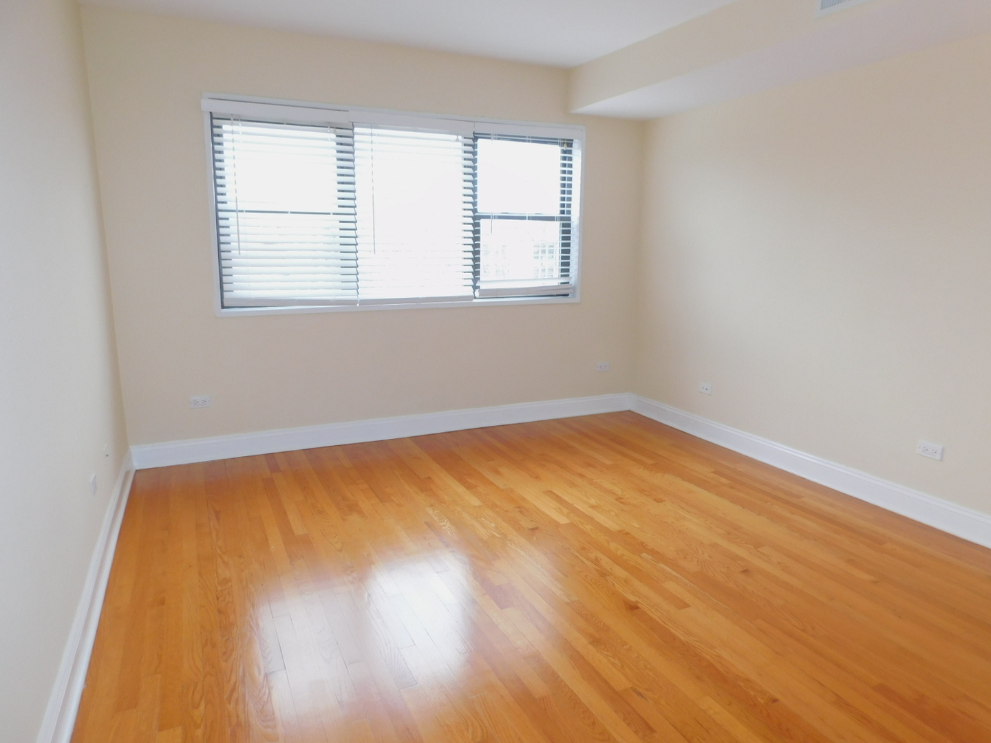 515 Sheridan Road, Unit 202 Evanston, IL 60202 - Photo 12 of 13 an empty room with wooden floor and windows