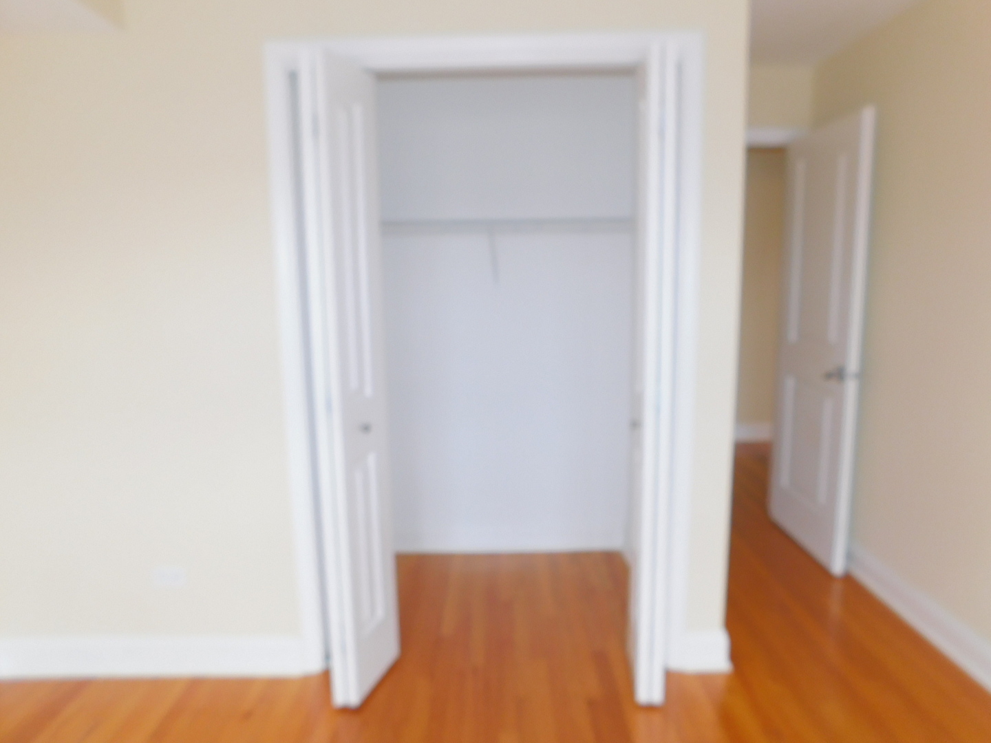 515 Sheridan Road, Unit 202 Evanston, IL 60202 - Photo 13 of 13 a view of closet