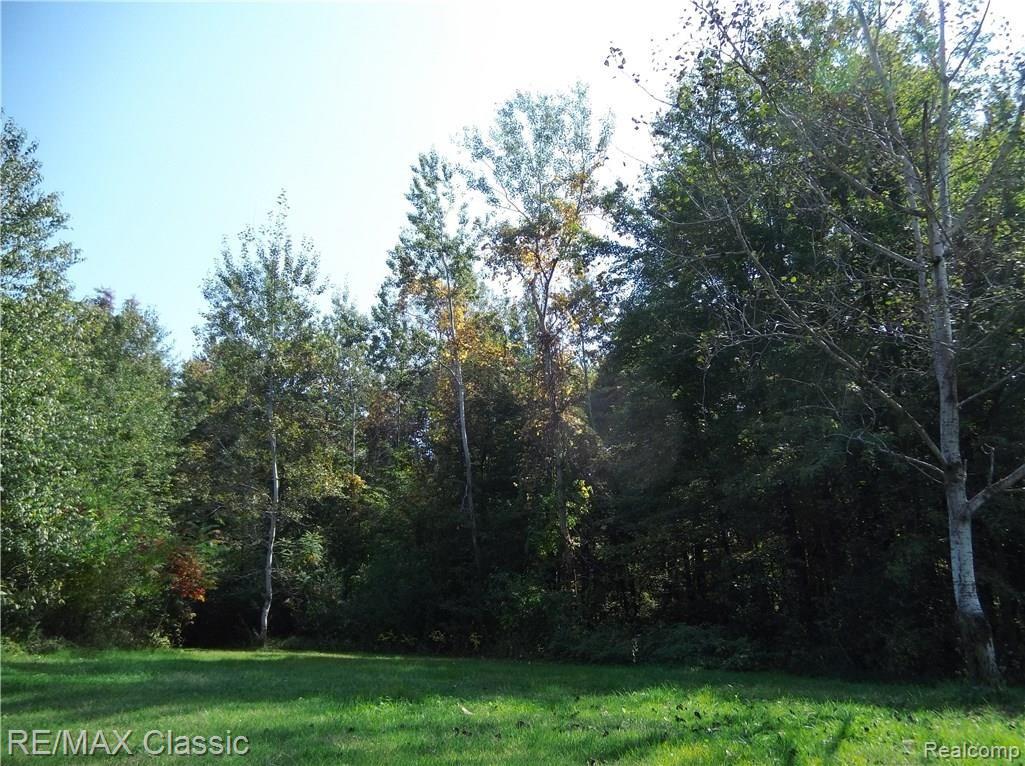 21341 Haggerty Road Belleville, MI 48111 - Photo 56 of 62 IMG_20170921_131228491.jpg